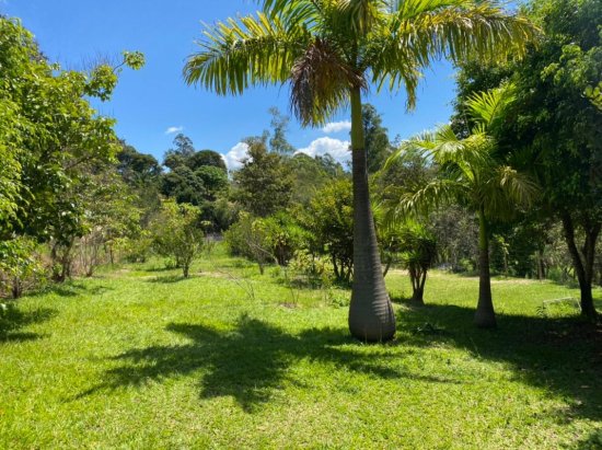 chacara-venda-entre-brumadinho-e-bonfim-682101