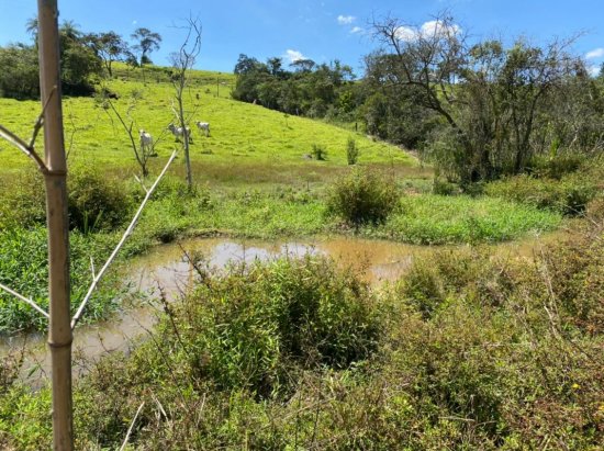 chacara-venda-entre-brumadinho-e-bonfim-682094