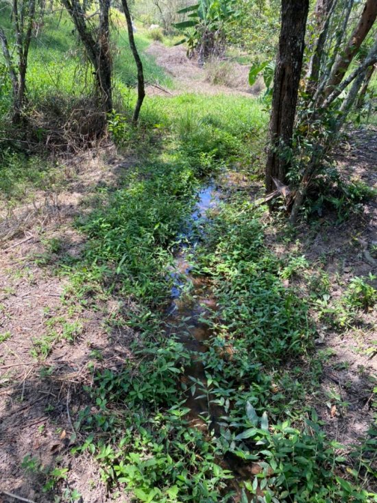 chacara-venda-entre-brumadinho-e-bonfim-682098