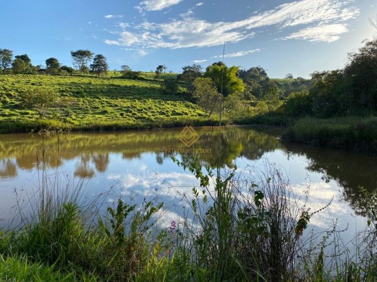 fazenda-venda-crucilandia-mg-670028