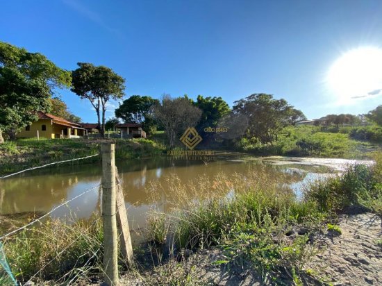 fazenda-venda-crucilandia-mg-670021