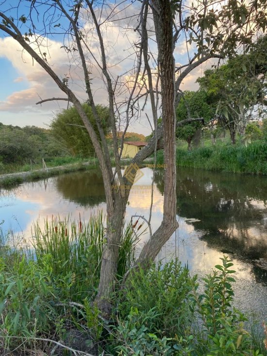 fazenda-venda-crucilandia-mg-670023