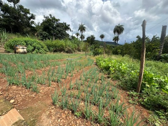 chacara-venda-rural-igarape-1096549