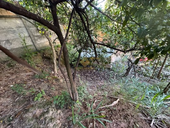 lote-venda-dom-bosco-betim-1097488