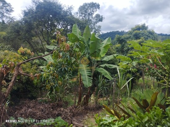 sitio-venda-itauna-zona-rural-835645