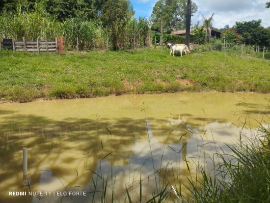 sitio-venda-itauna-zona-rural-835647