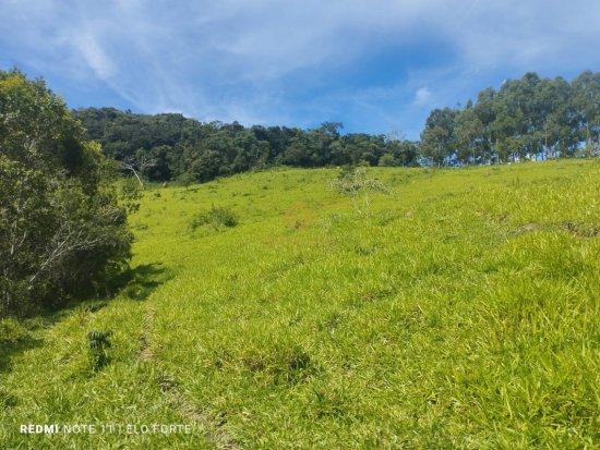 fazenda-venda-fazenda-em-crucilandia-835881