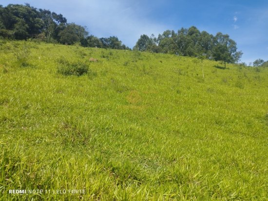 fazenda-venda-fazenda-em-crucilandia-835890