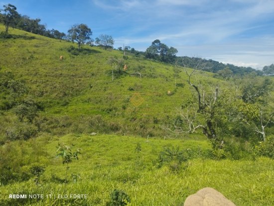 fazenda-venda-fazenda-em-crucilandia-835891