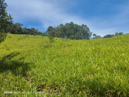 fazenda-venda-fazenda-em-crucilandia-835893