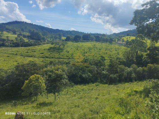 fazenda-venda-fazenda-em-crucilandia-835884