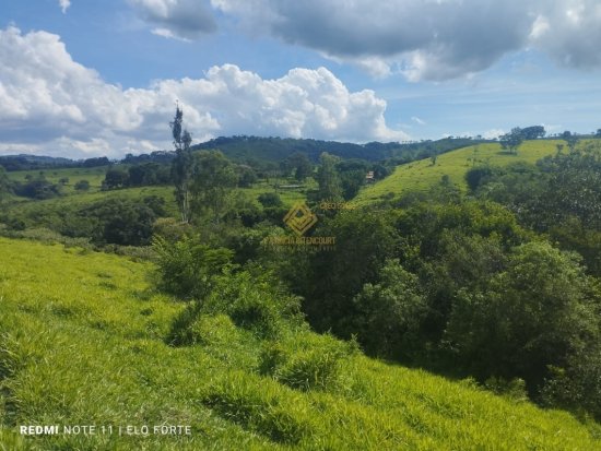 fazenda-venda-fazenda-em-crucilandia-835885