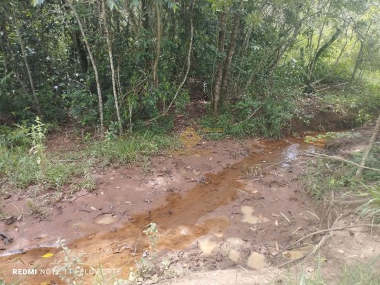 fazenda-venda-fazenda-em-crucilandia-835886