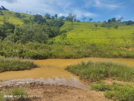 fazenda-venda-fazenda-em-crucilandia-835888