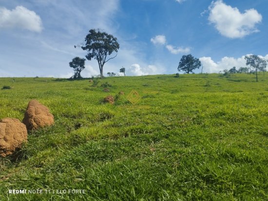 fazenda-venda-fazenda-em-crucilandia-835889