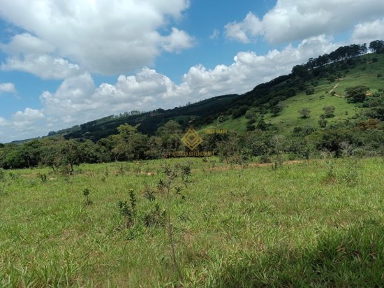 fazenda-venda-itatiaiucu-837104