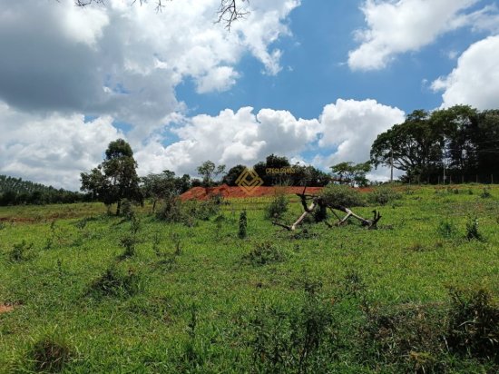 fazenda-venda-itatiaiucu-837118