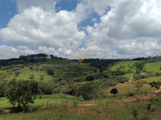 fazenda-venda-itatiaiucu-837105