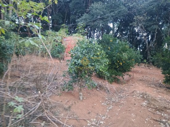 sitio-venda-itatiaiucu-1106380
