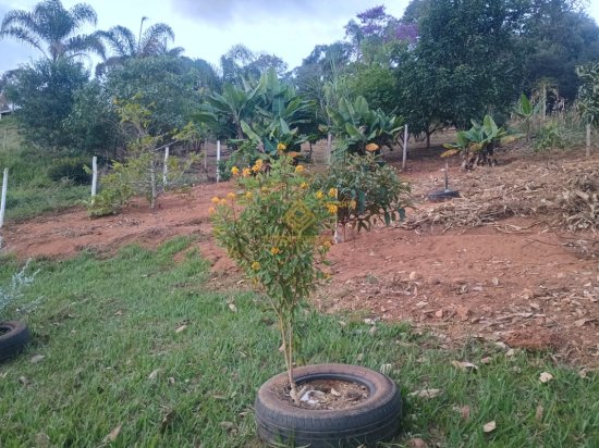 sitio-venda-itatiaiucu-1106381