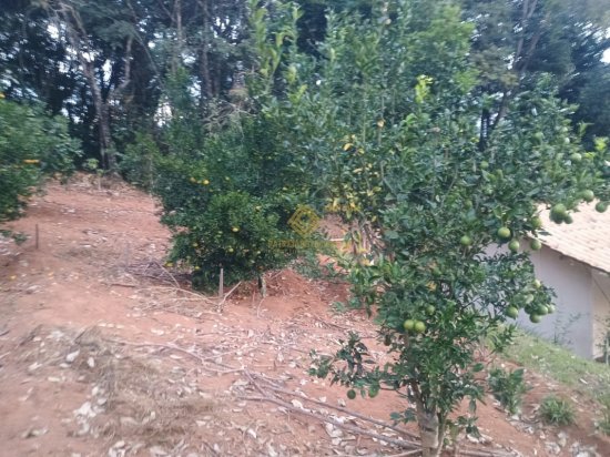 sitio-venda-itatiaiucu-1106382