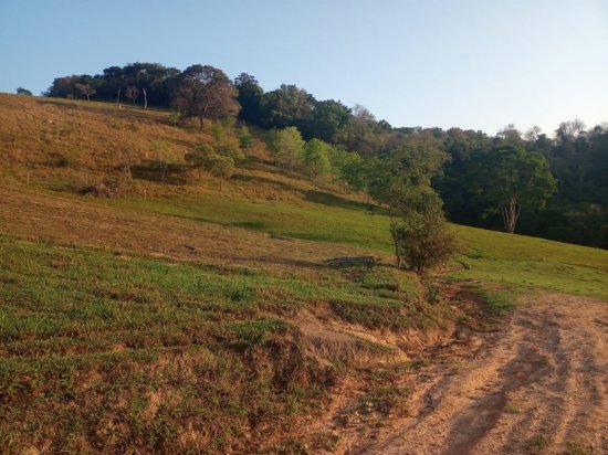 terreno-venda-bonfim-mg-633763