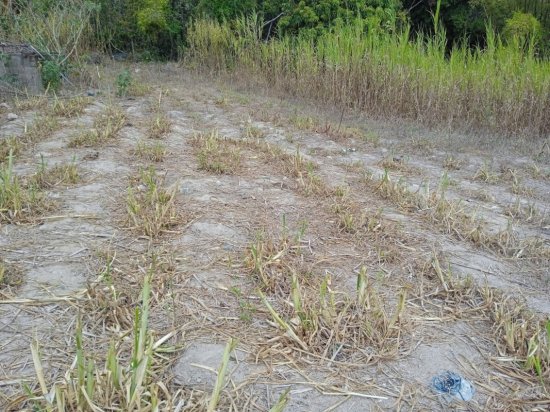 terreno-venda-bonfim-mg-634108