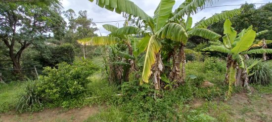 chacara-venda-bonfim-mg-634458