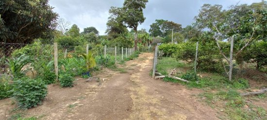 chacara-venda-bonfim-mg-634452