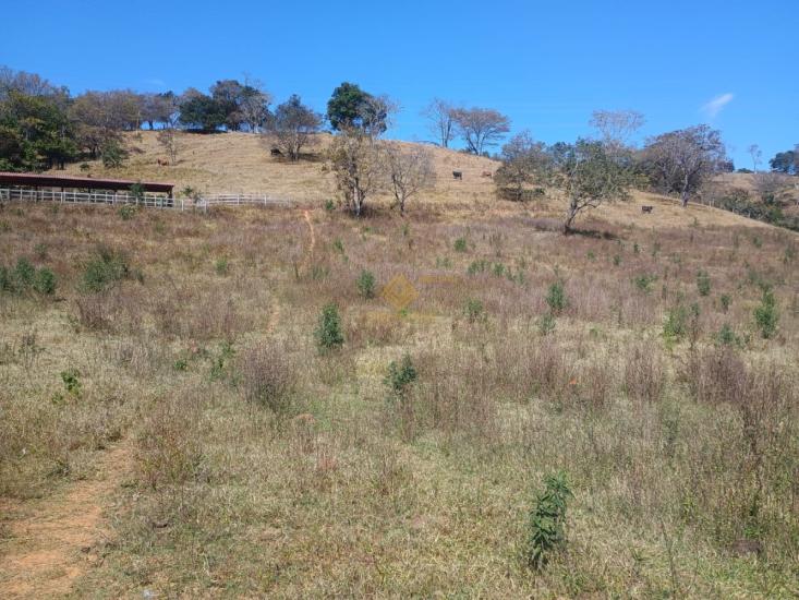fazenda-venda-rio-manso-itaguara-1130638