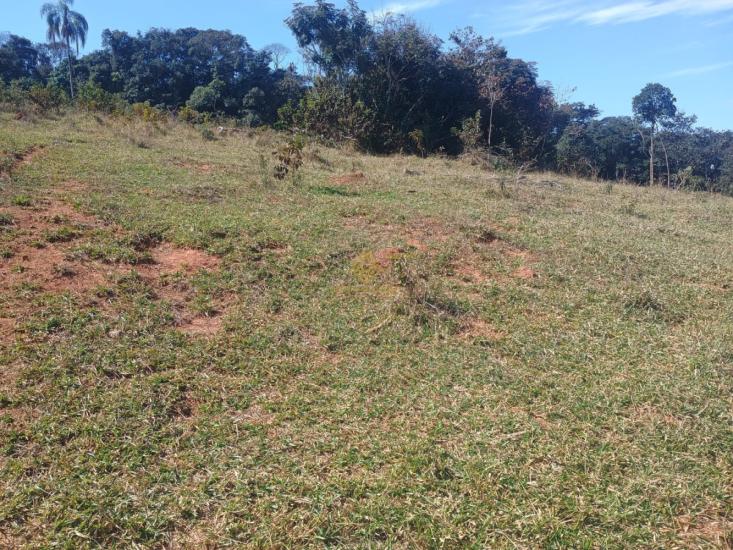 terreno-venda-itatiaiucu-1130653