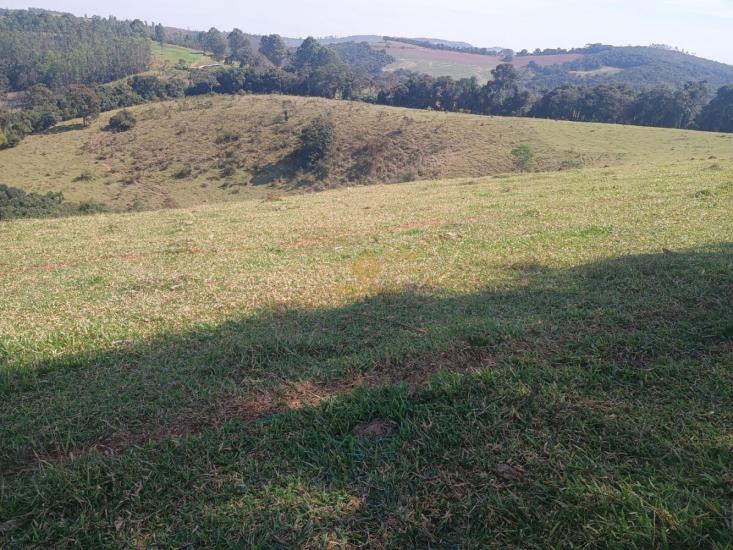 terreno-venda-itatiaiucu-1130655