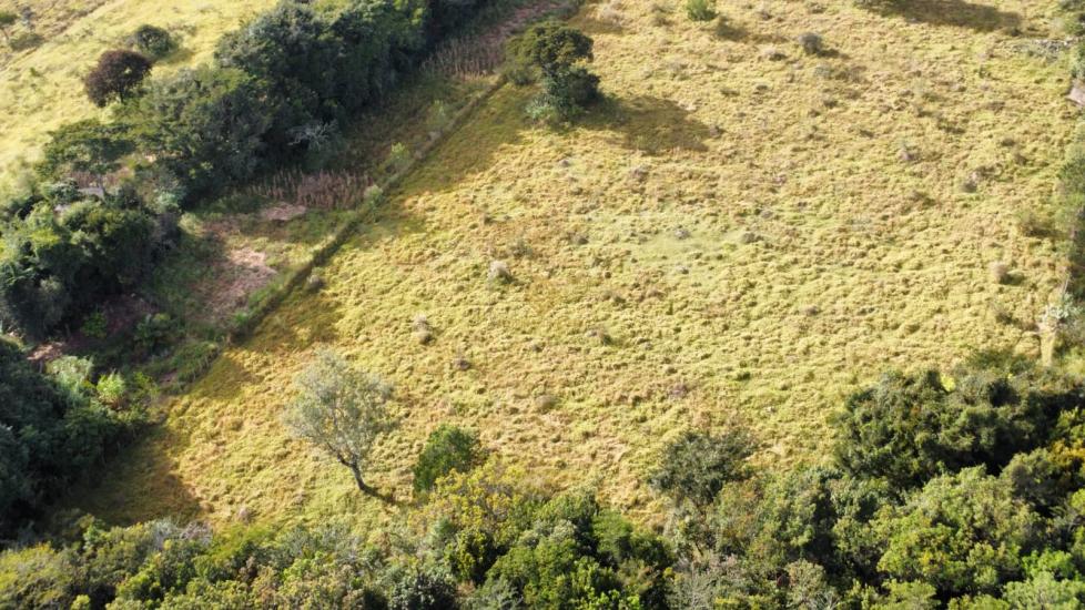 sitio-venda-itatiaiucu-1130677