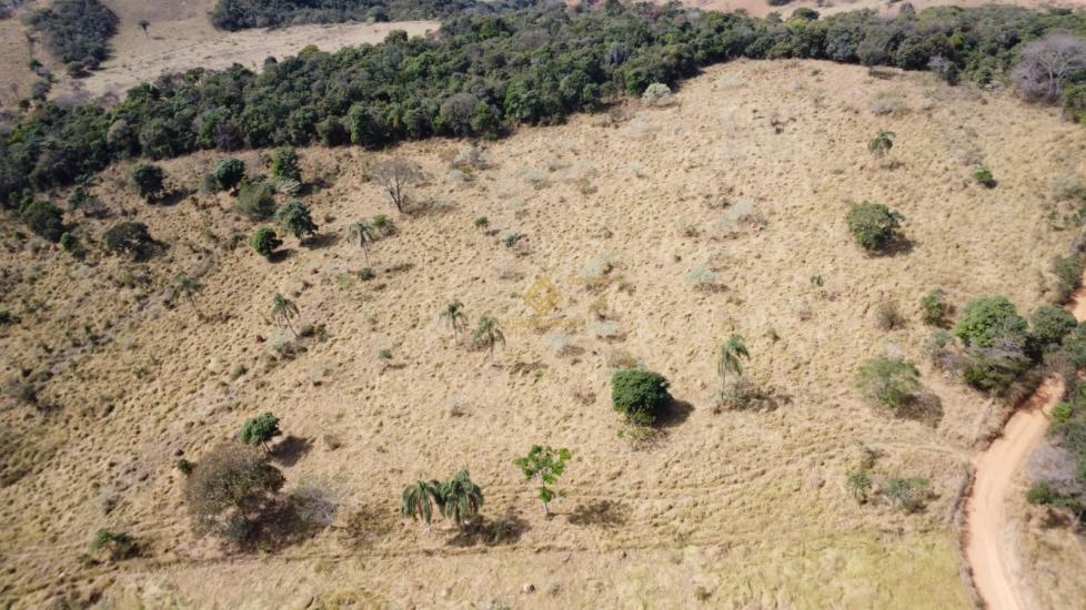 fazenda-venda-itaguara-1130693