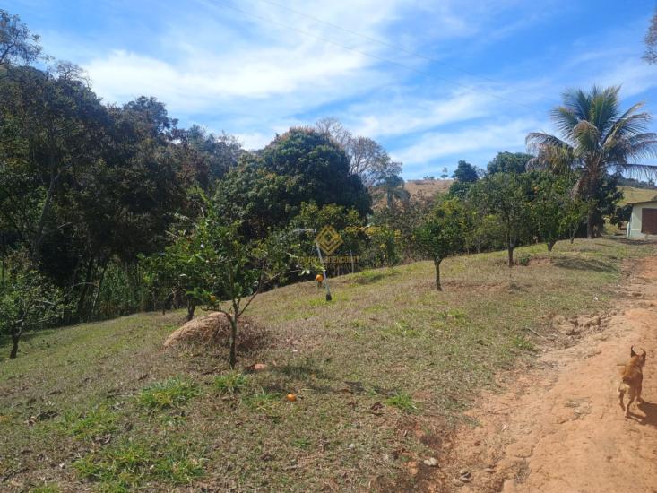 fazenda-venda-itaguara-1130703