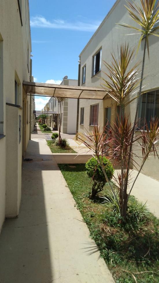 apartamento-venda-vista-alegre-mateus-leme-1132773